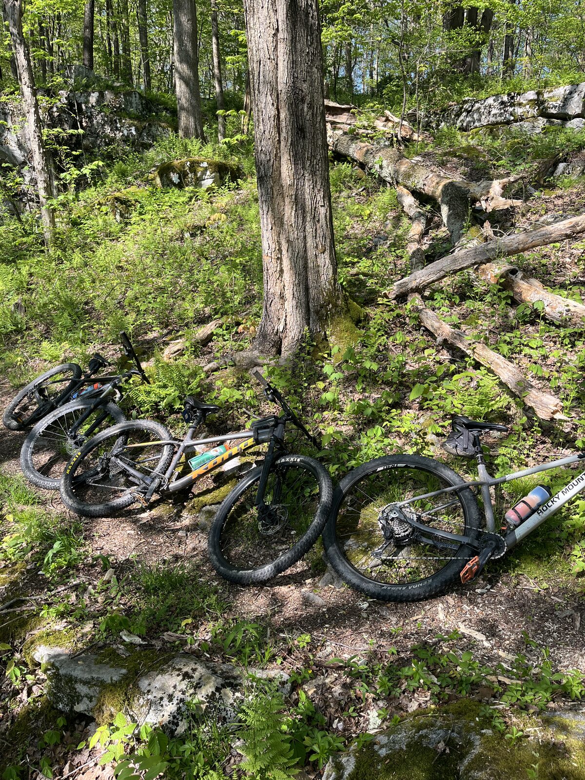 Adult Mountain Bikes
